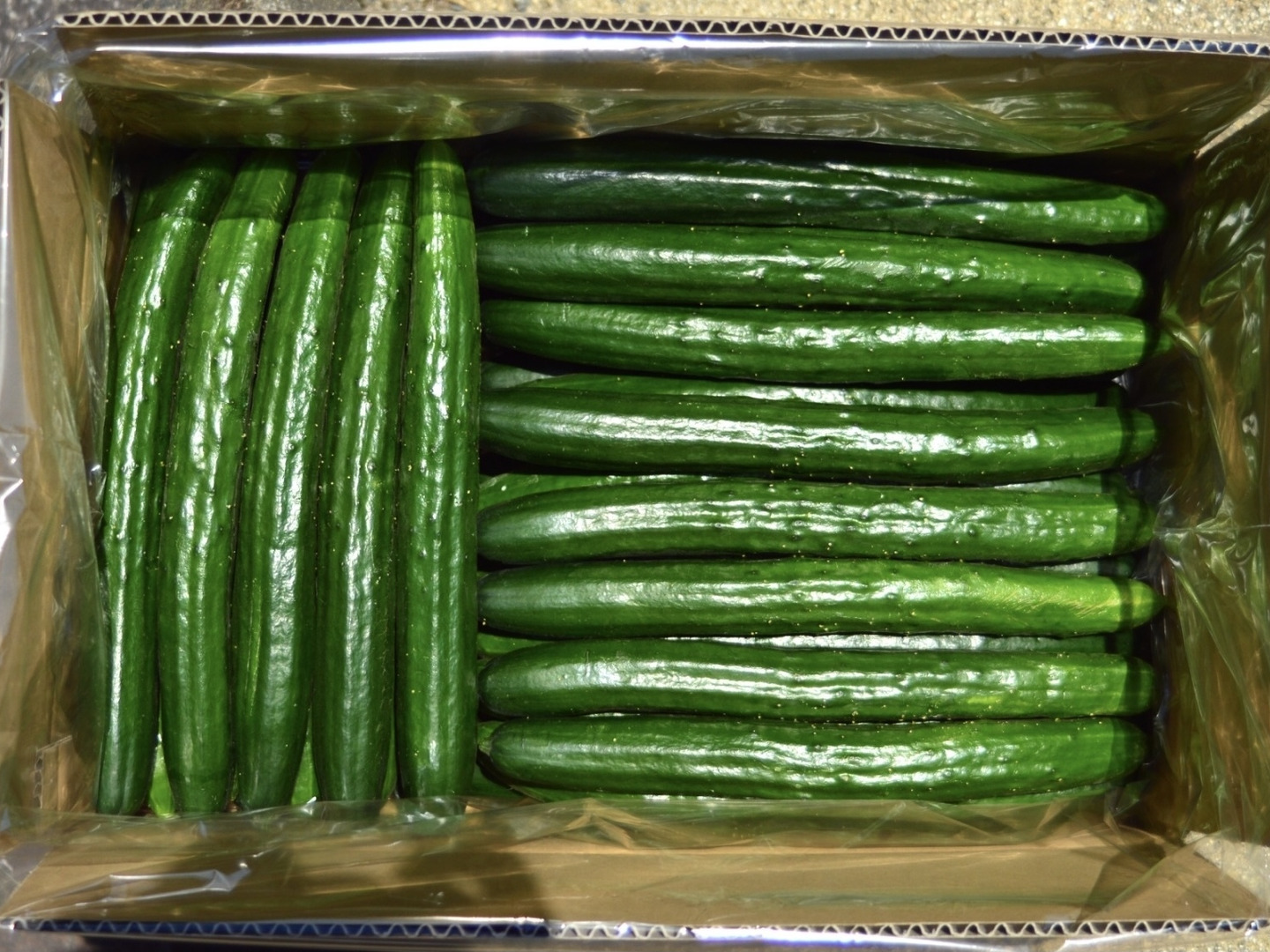 激安通販サイト 人気 084094c66191ff4d1fd3fb02544731 野菜