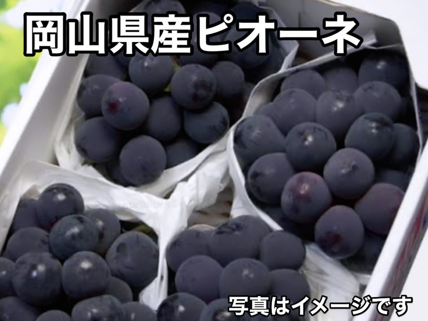岡山県産 【クール便】ピオーネ2kgご家庭用（3房〜4房）：岡山県産の