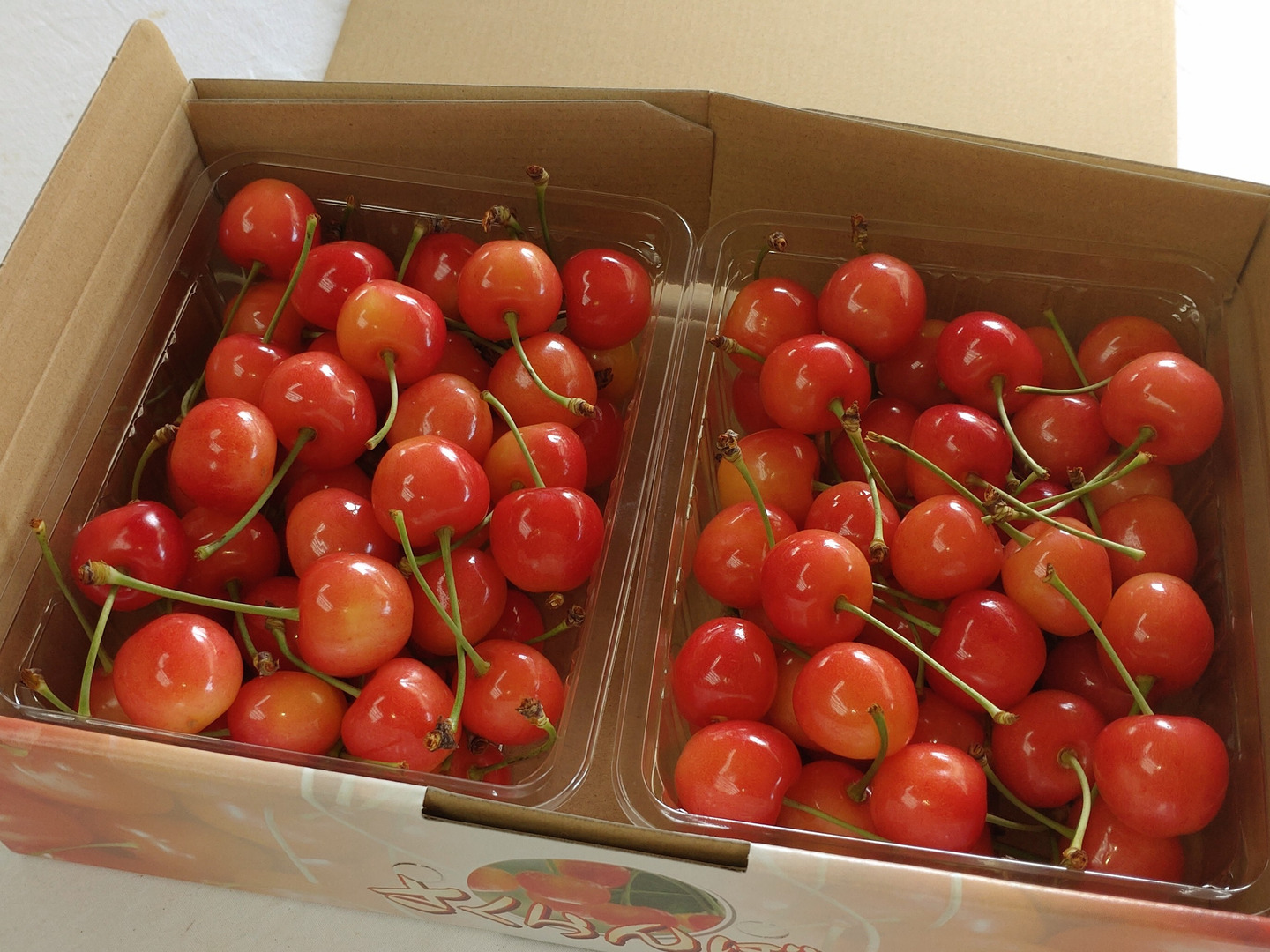 販売終了】青森県産さくらんぼ 紅秀峰2Lｻｲｽﾞ 約800g バラ詰め