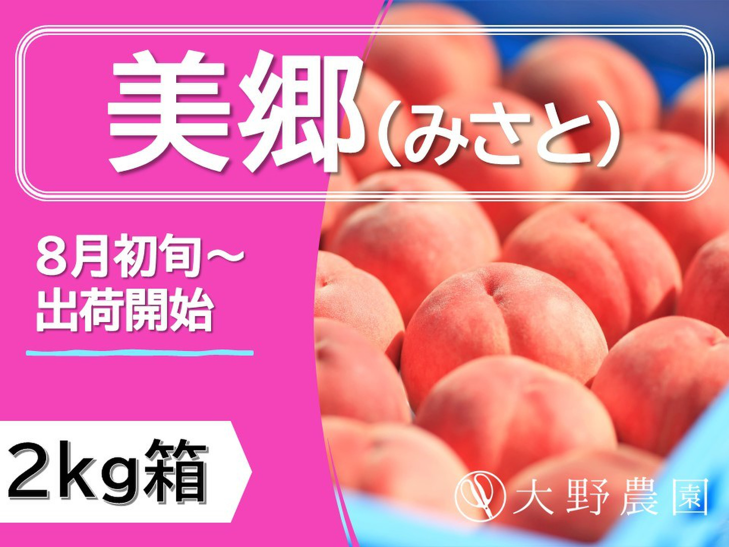 キズあり。CocoRo♡farm ワッサーのような硬い桃（美郷）8kg 06a7fd4ab5dbbf27df1ee72b341fda