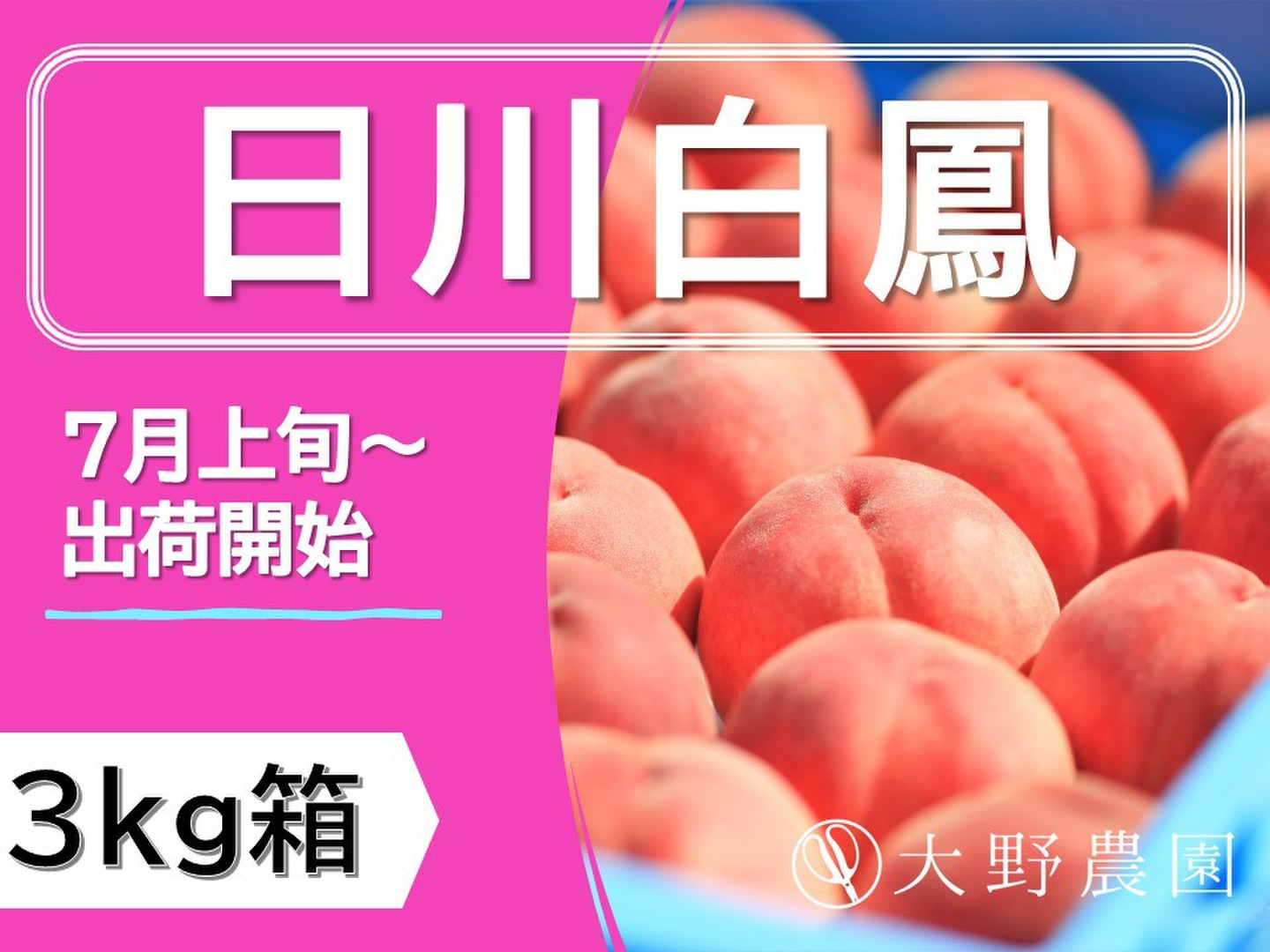 数量限定＞【日川白鳳・3kg箱】古くから愛される味わい：福島県