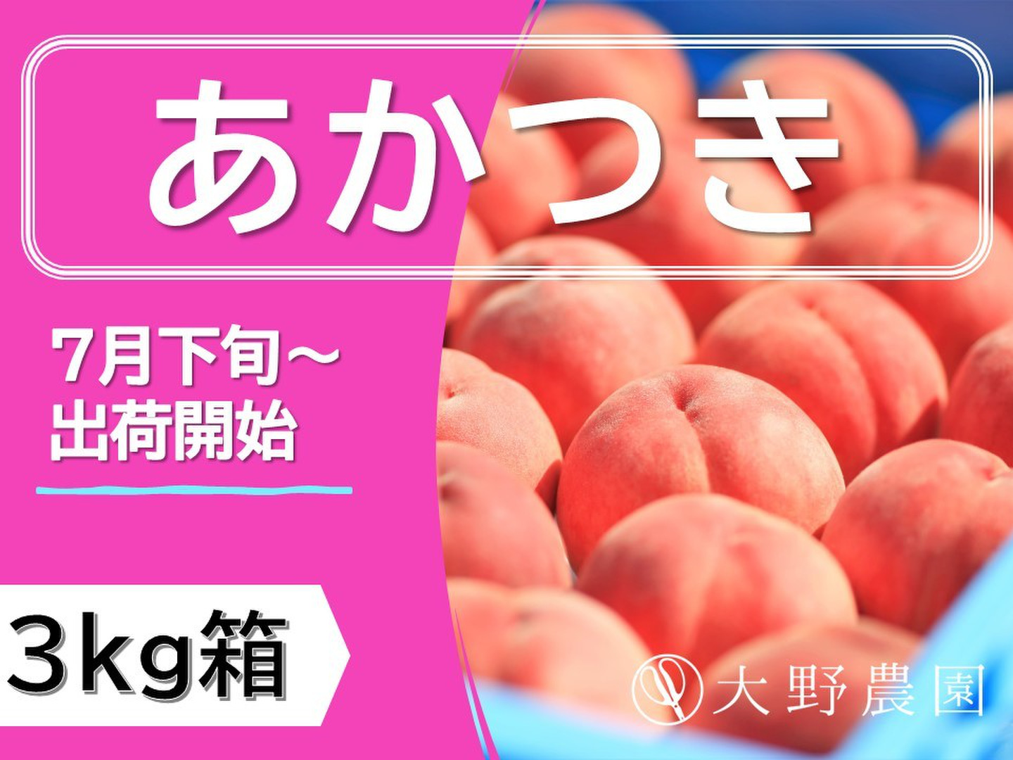 cf8e755d804fe3e82530ba320a13b5