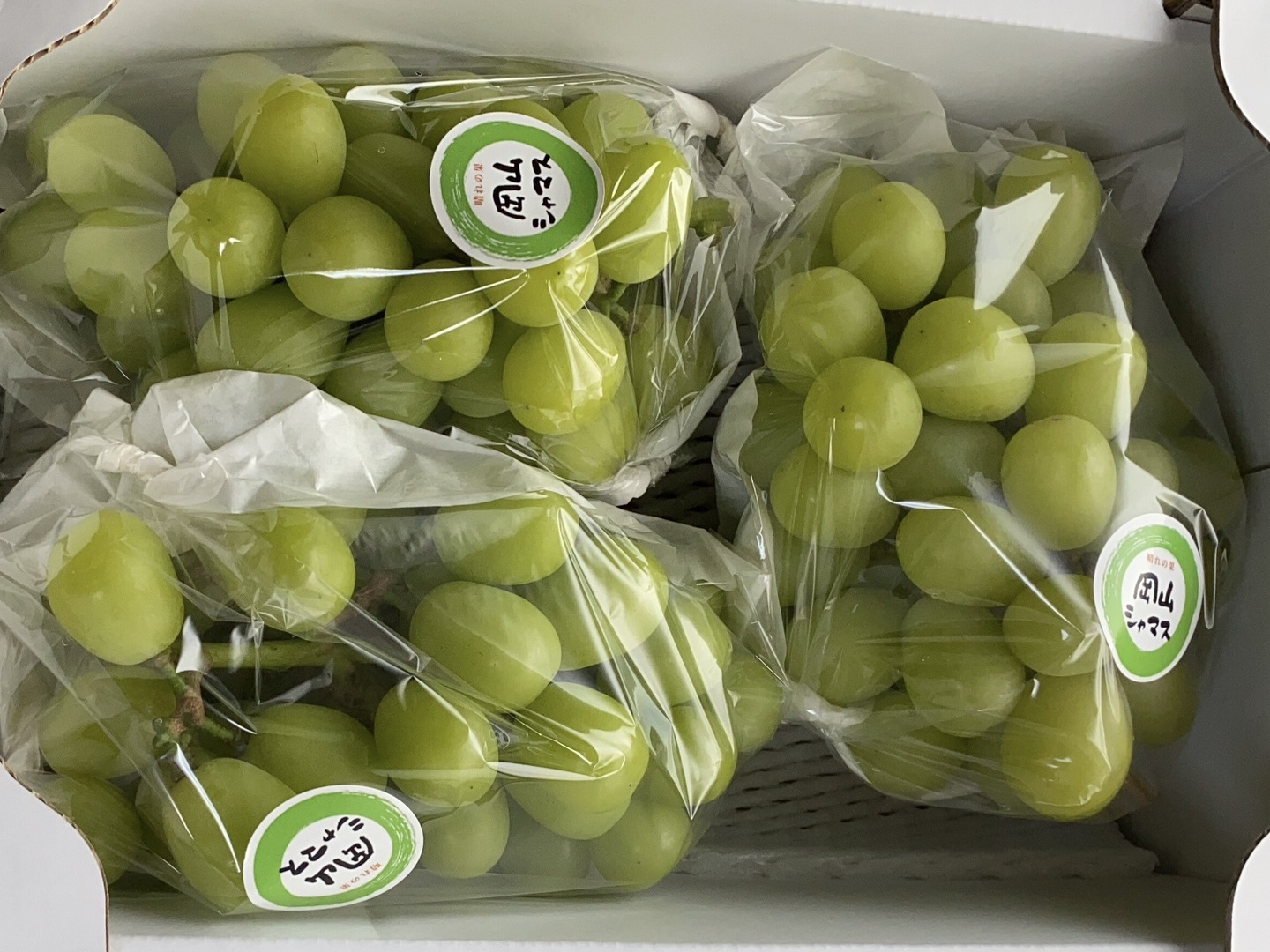 信頼も高い 岡山シャマス2.0kg：岡山県産のシャインマスカット｜食べチョク 果物