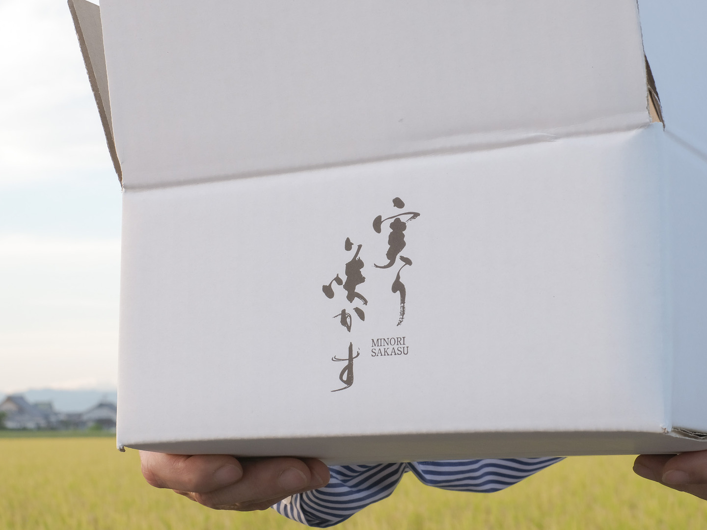 超安い 玄米 3kg「夢しずく」新米「実り咲かす」特別栽培米（農薬・化学 米・雑穀・粉類