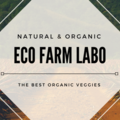 Eco Farm Labo