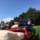 げんき農園