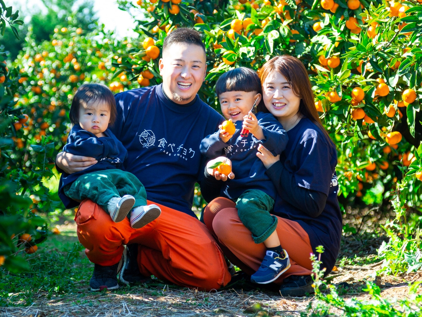 高級柑橘デコポン【夕やけブランド】愛媛県産 3L〜4L玉10kg1/20以降発送 4月～5月上旬頃出荷】【送料無料】葉付きデコポン 愛媛県産 大玉