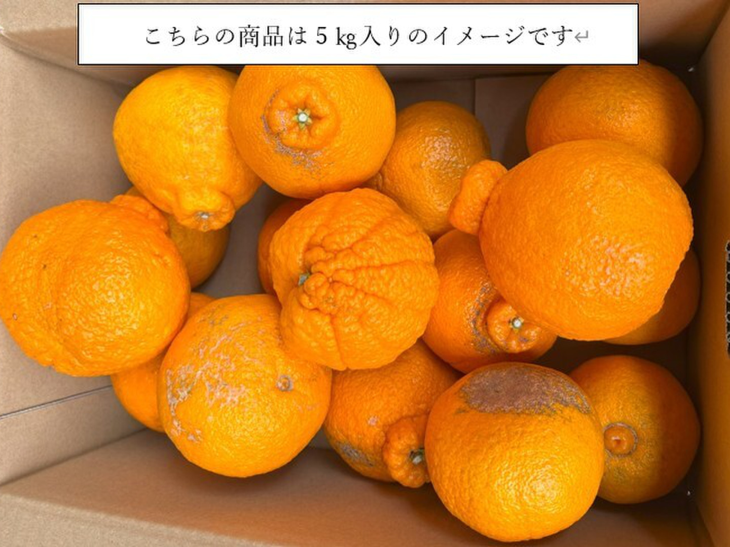 熊本大見柑🍊プラズマ完熟ハウス不知火B品2.5kg（7～12玉