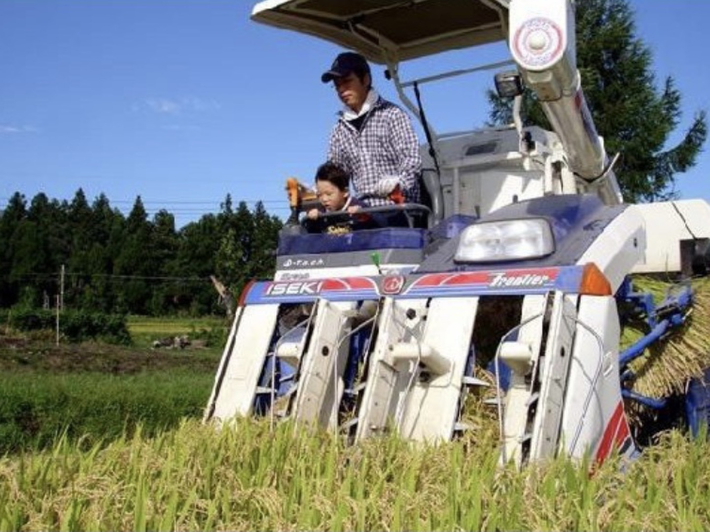 新潟県産 つきあかり 10キロ 無洗米 令和6年産 (tukiakari-10kg