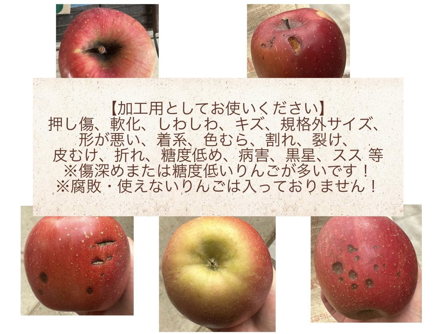 減農薬栽培＊青森県産サンふじ16キロ 減農薬栽培＊青森県産サンふじ16キロ 楽天市場】青森県藤崎