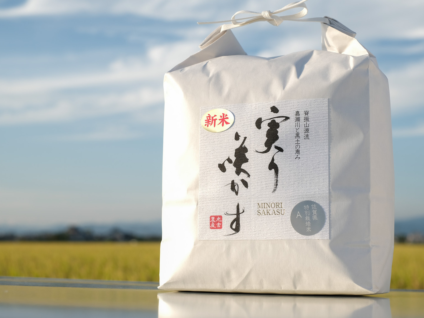 楽天市場】【ふるさと納税】米 10kg 白米 コシヒカリ 5kg 新米