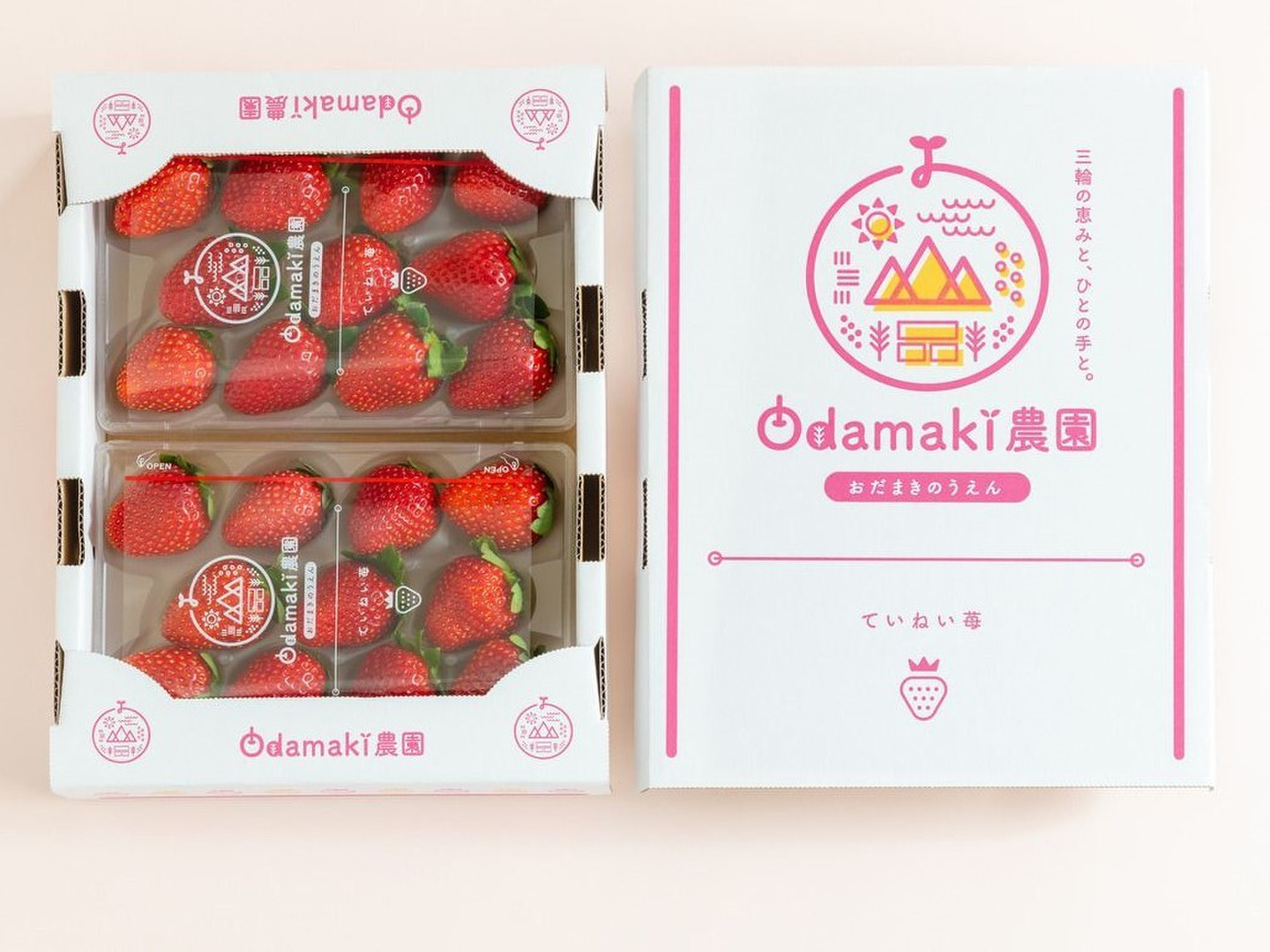 奈良産プレミアム苺【古都華（ことか）】5L 超特大玉 旨さ甘さ