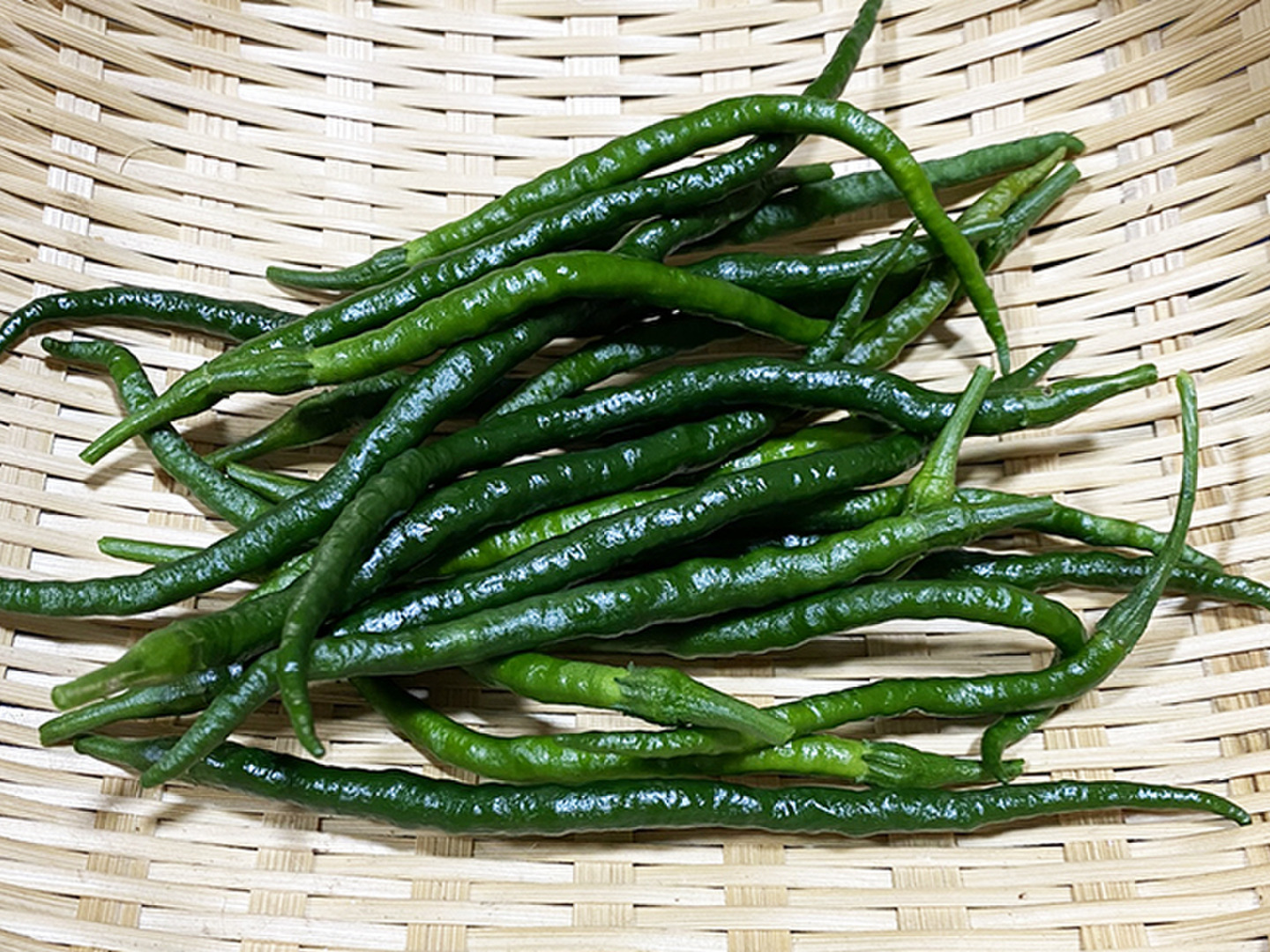 新鮮な唐辛子4.5キロ（緑） 07fee15000f5b2a765082a349d3d19