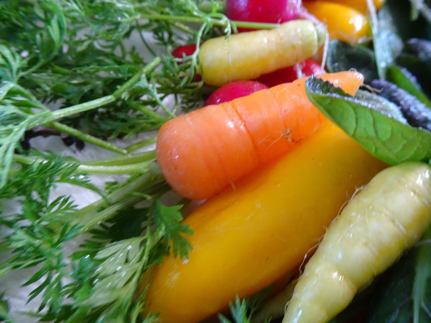 公式サイト 4607089e26e07813e7d4ee1a809696 野菜