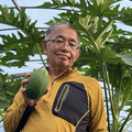 御前崎パパイヤ農園