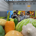SHIN FARM