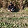 タカハナリ農園