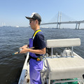 東京湾一本釣り黄金アジ　嵯峨乃家