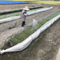 みなみふぁ〜む