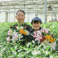 flower grower's