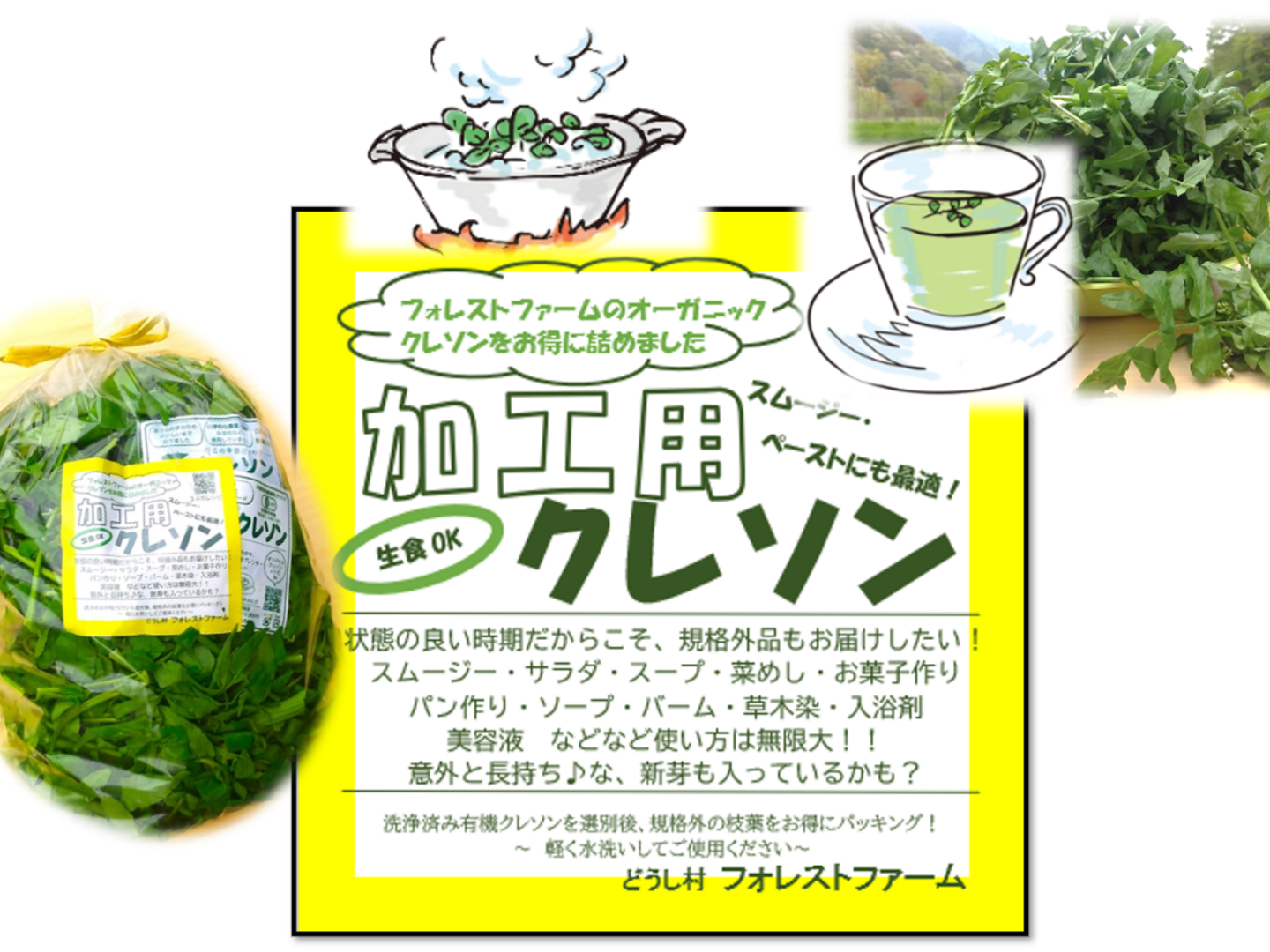 【人気沸騰】 a0af90dadba0335f3b45b9fea2b509 野菜