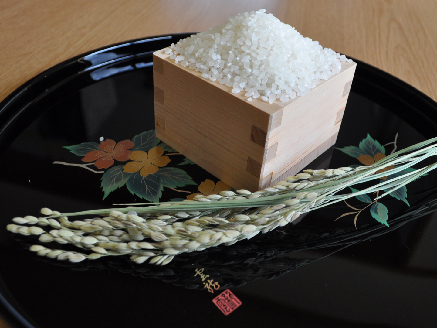 群馬県産コシヒカリ 令和5年産 精米 農家直売 送料込み 令和5年 群馬県産（沼田市産）コシヒカリ 5㎏：群馬県産の