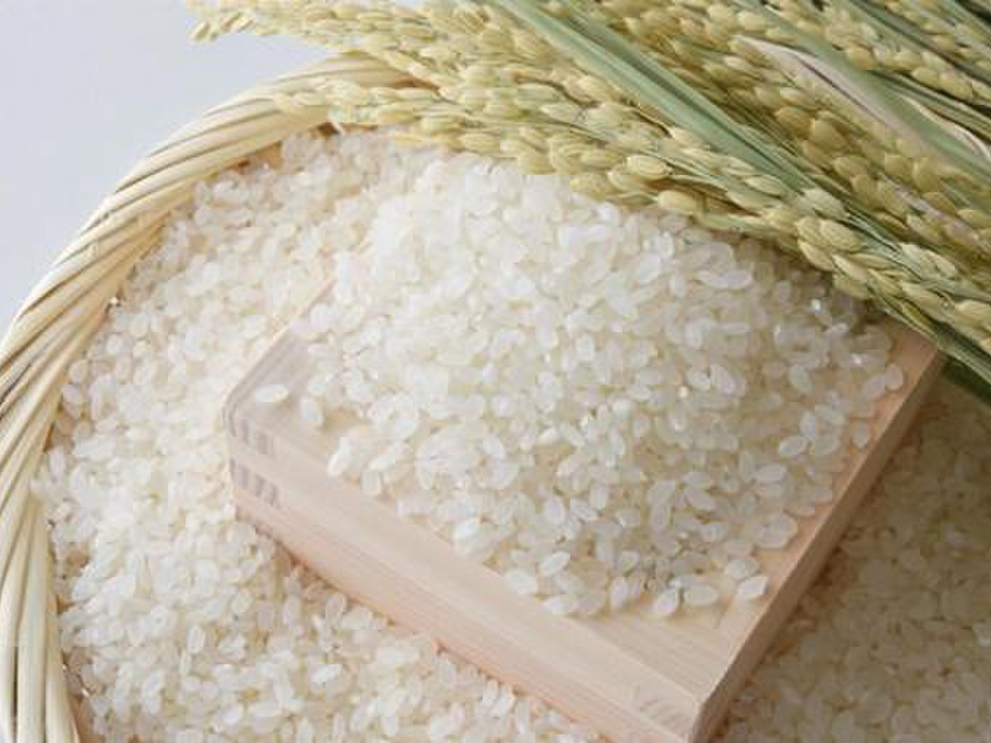 新米】令和5年産・特栽米つや姫(10kg)：山形県産のお米｜食べ