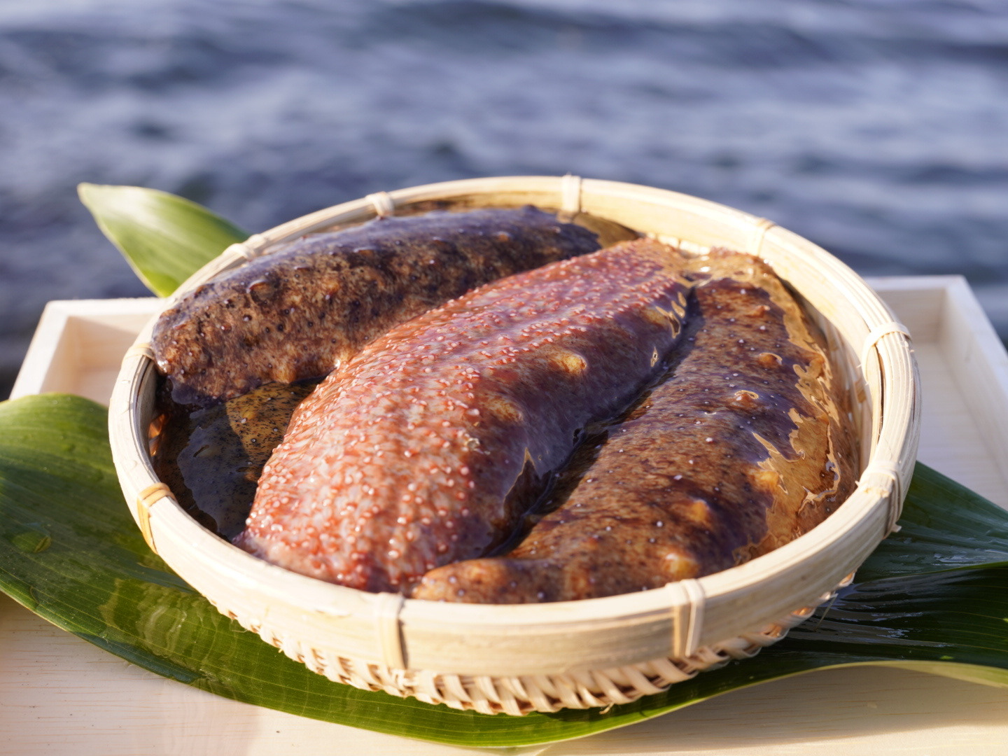 最安値級価格 漁師直送！！赤青なまこ食べ比べお試しパック（各1匹ずつ 魚介類(加工食品)