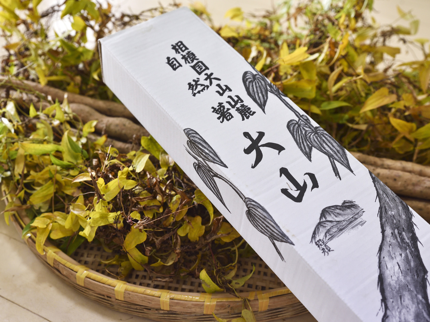 自然薯家 自然薯