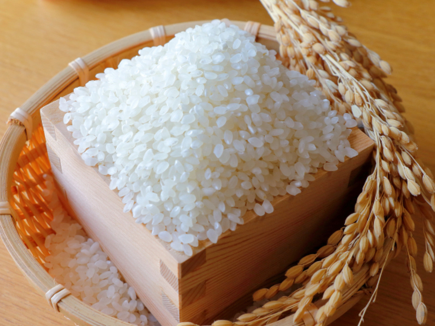 これはうまい！農家直送！減農薬で特別栽培！令和7年産　森のくまさん　白米20kg 令和8年産新米】森のくまさん（白米20kg）節減対象農薬：当地比8割減