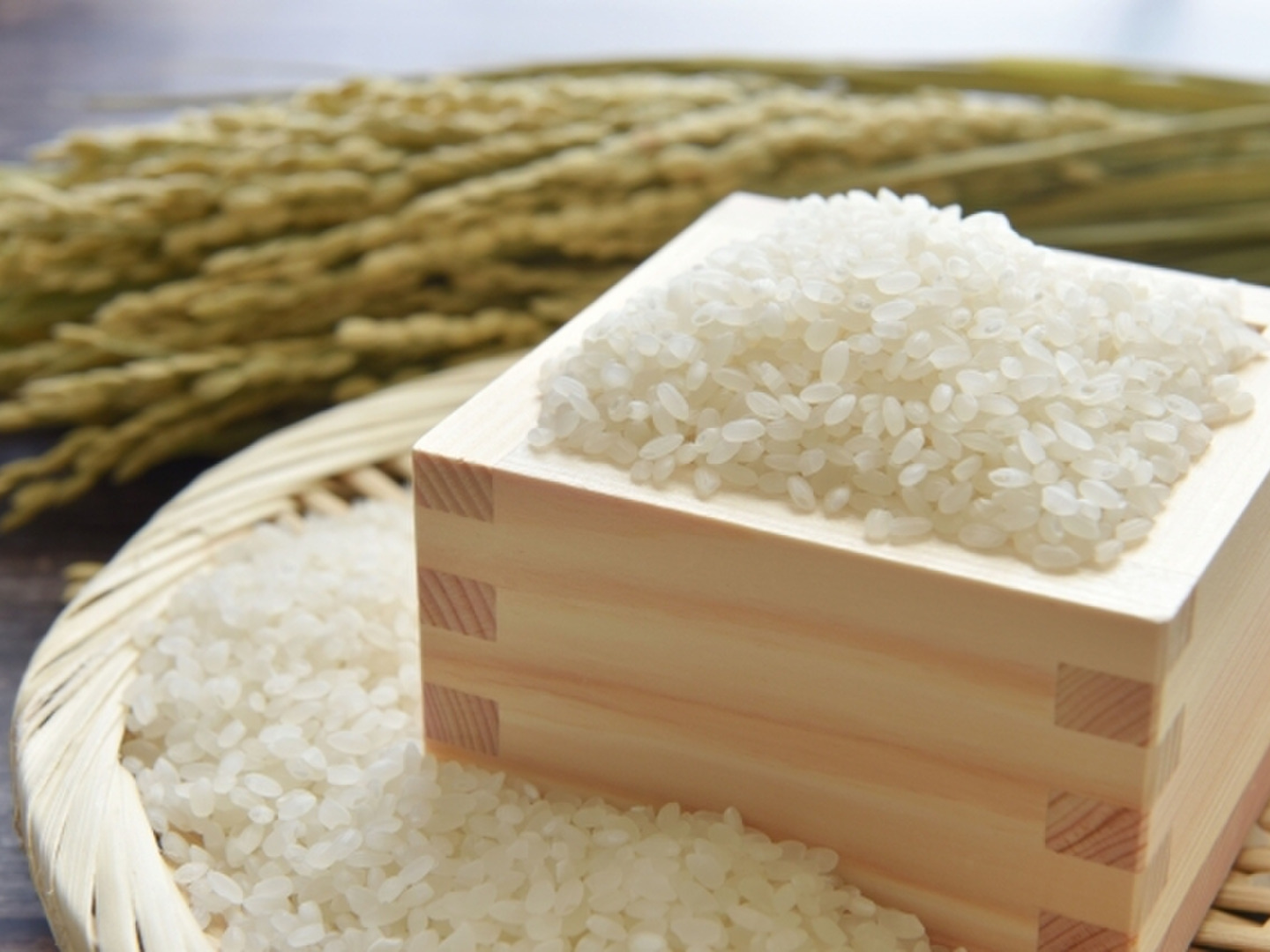 令和7年産】新潟県産こしいぶき(20kg)：新潟県産のこしいぶき