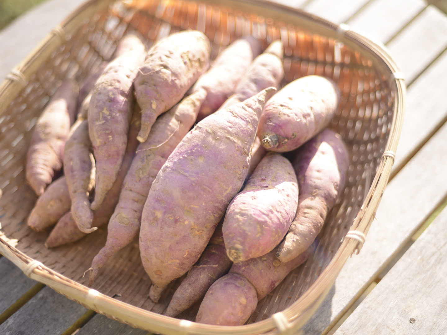 自然栽培 【熟成紅はるか】ねっとり甘い (農薬・肥料・堆肥不 自然栽培 【熟成紅はるか】ねっとり甘い (農薬・肥料・堆肥不