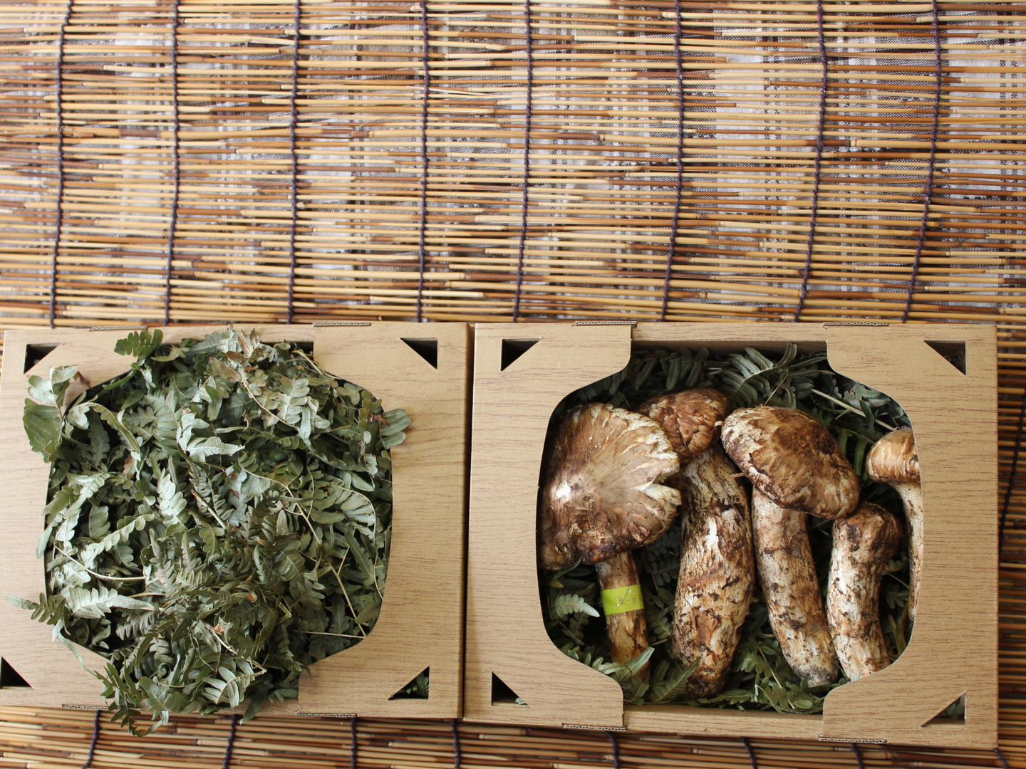 南信州産 マツタケ 2等級～3等級（半開き・開き）300g