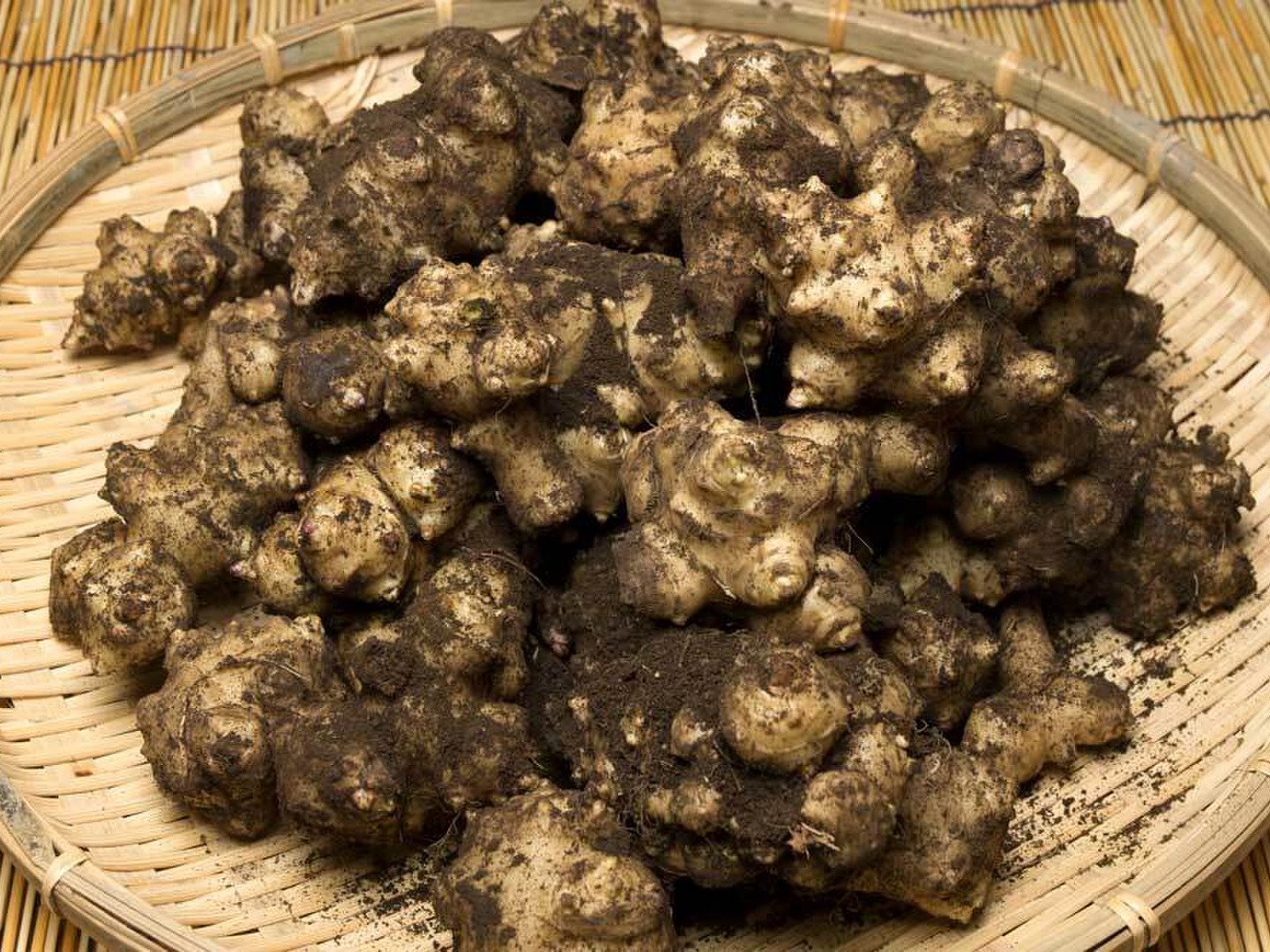 イヌリン豊富な農薬不使用『菊芋』10kg 産地直送：青森県産の白