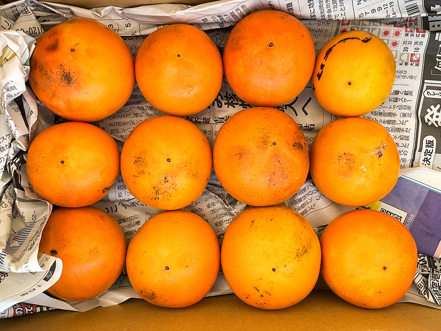 最新な 自然栽培】 甘柿(種あり） 柿 2kg（10個以上）：宮城県産の果物 果物