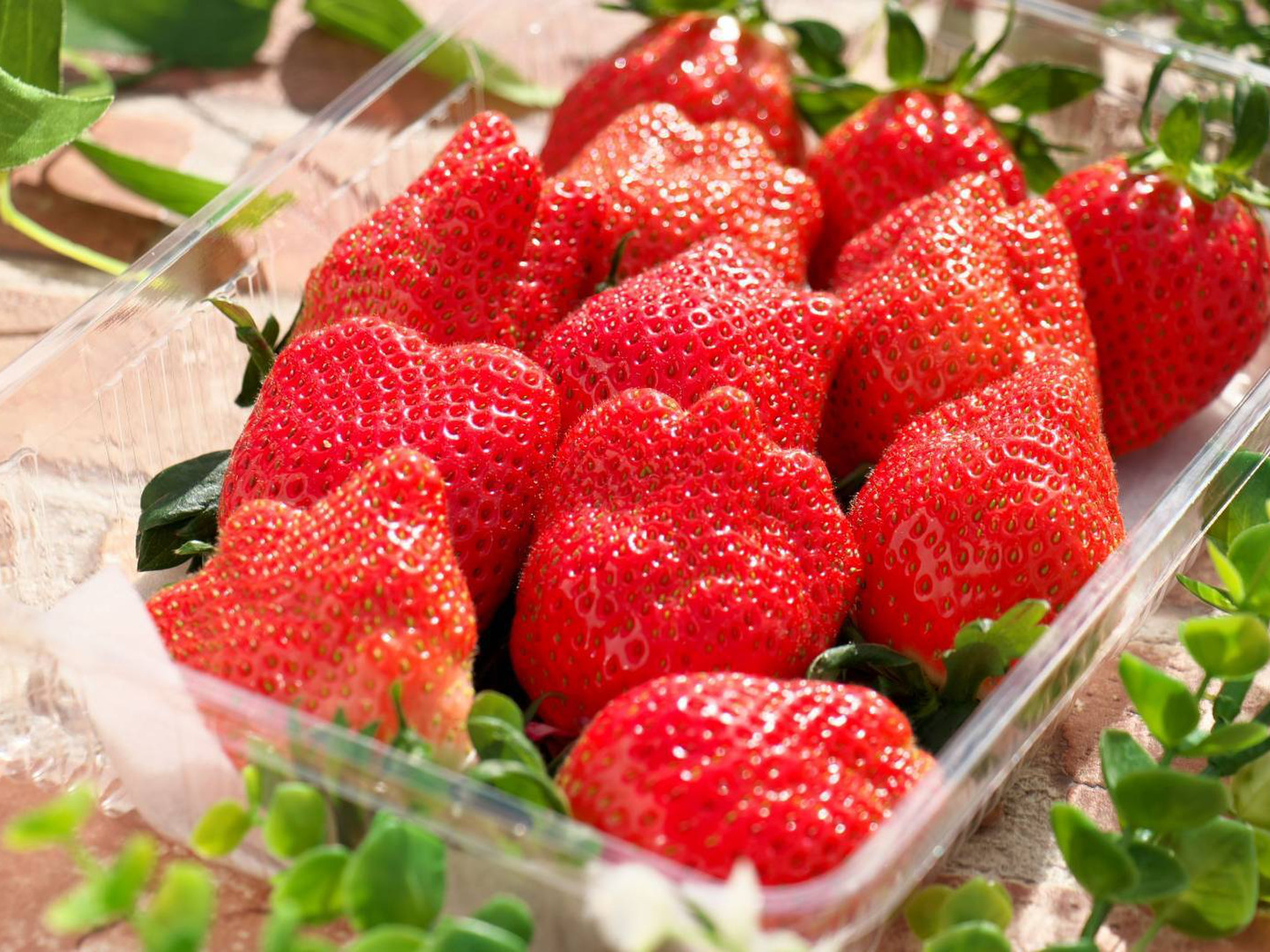 ④苺 12月発送先行予約】【お歳暮、お年賀、クリスマス】🍓4種類食べ