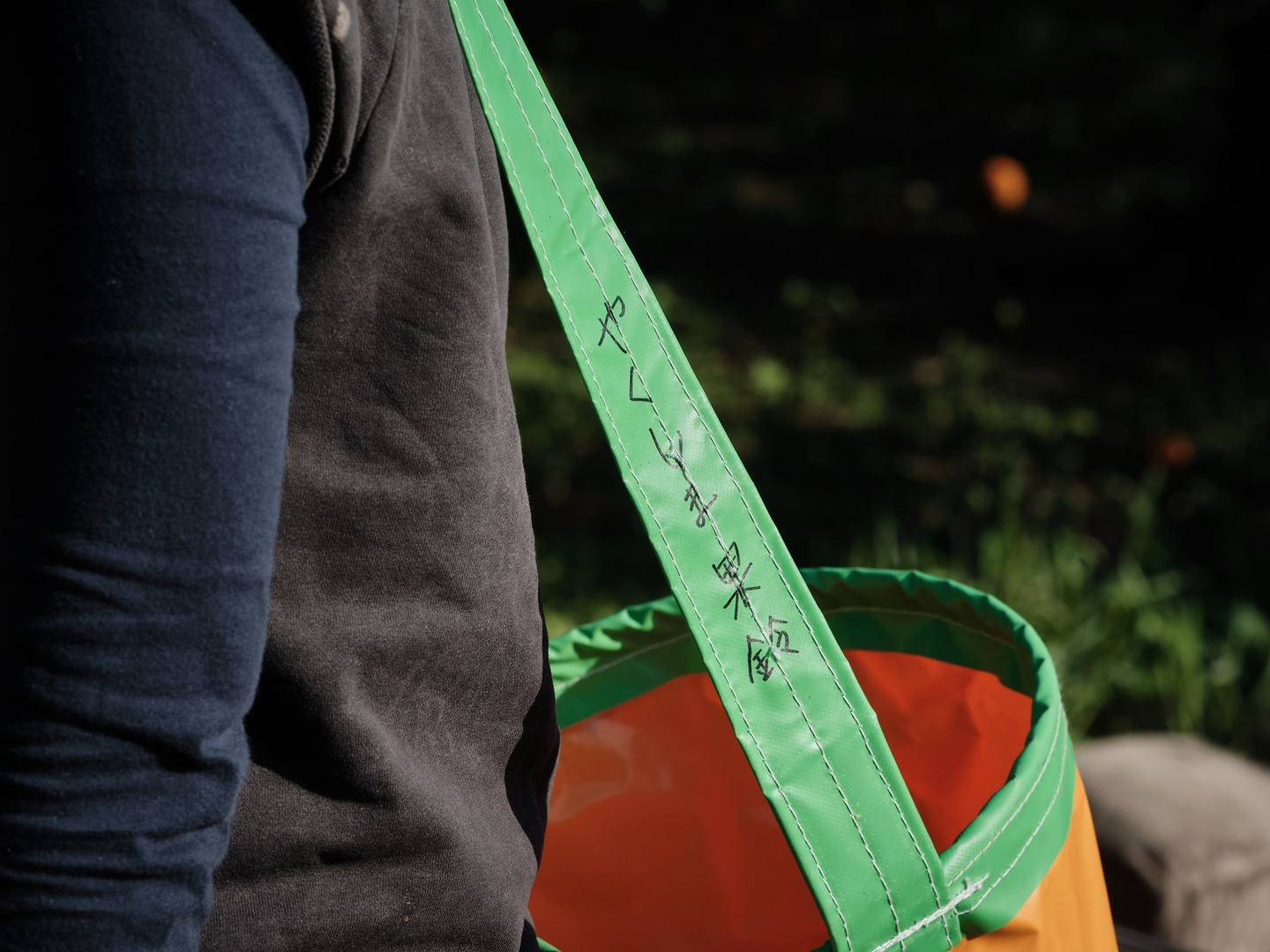 屋久島 たんかん 10kg （5kg×2箱）《 村中の方が、うまさ日本一