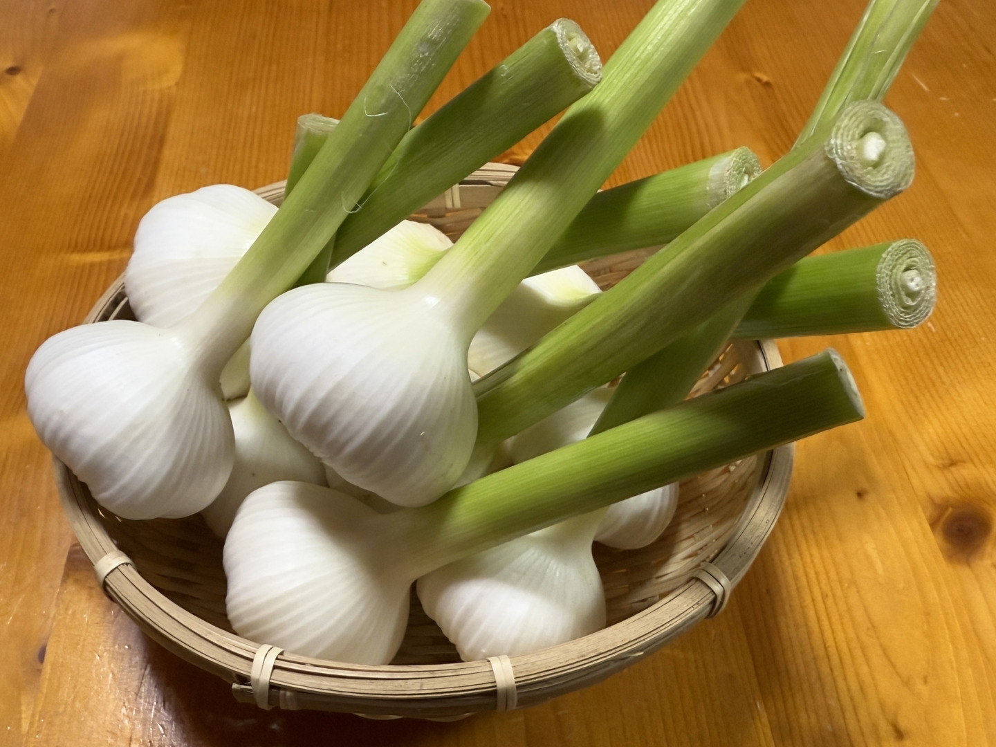 生にんにく 旬の今だけ！みずみずしいフレッシュな生にんにく1