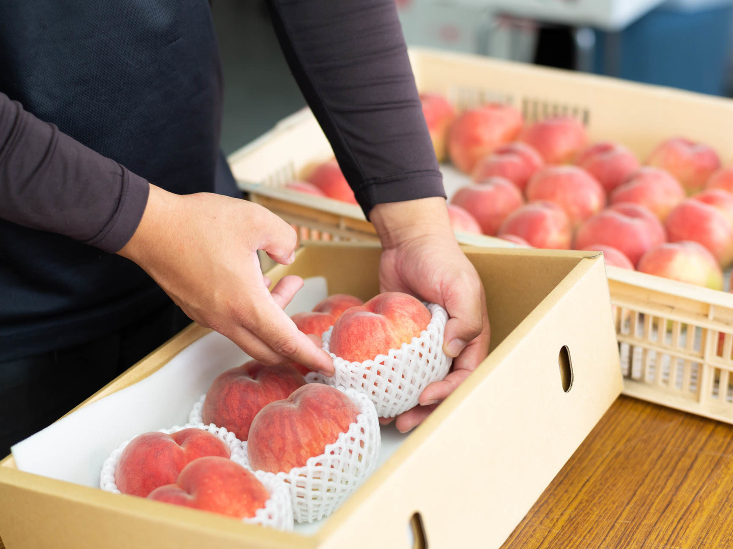 遠方様向けクール便！山梨県産桃！産地直送！旬の桃9～12玉入り