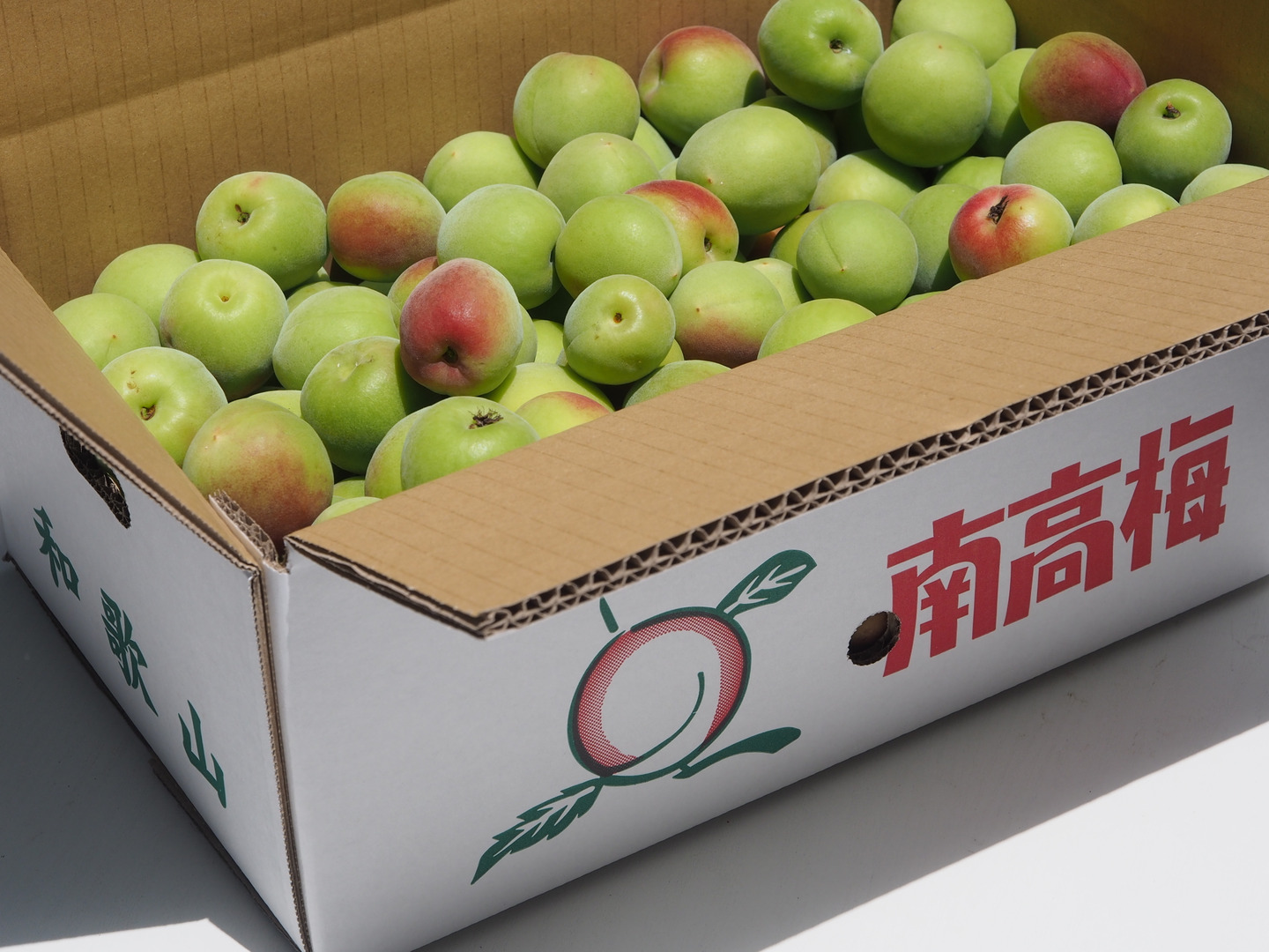 紀州田辺ちっぽけな畑の完熟手前の手もぎ南高梅5キロ！傷あり傷