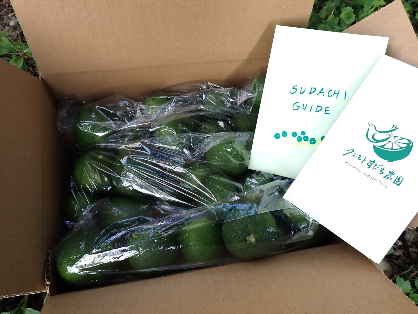 すだち様 BIG！すだち【特別栽培・5kg箱】神山町からお届け：徳島県産のみかん