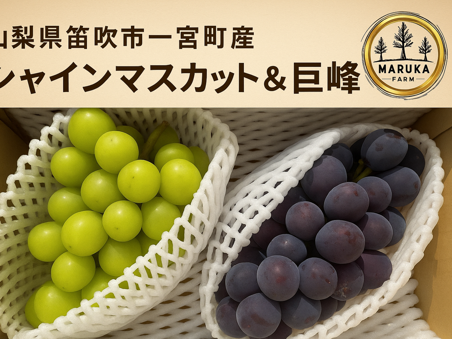 🍇【山梨県笛吹市産】プレミアムシャインマスカット＆巨峰 約1.2kg