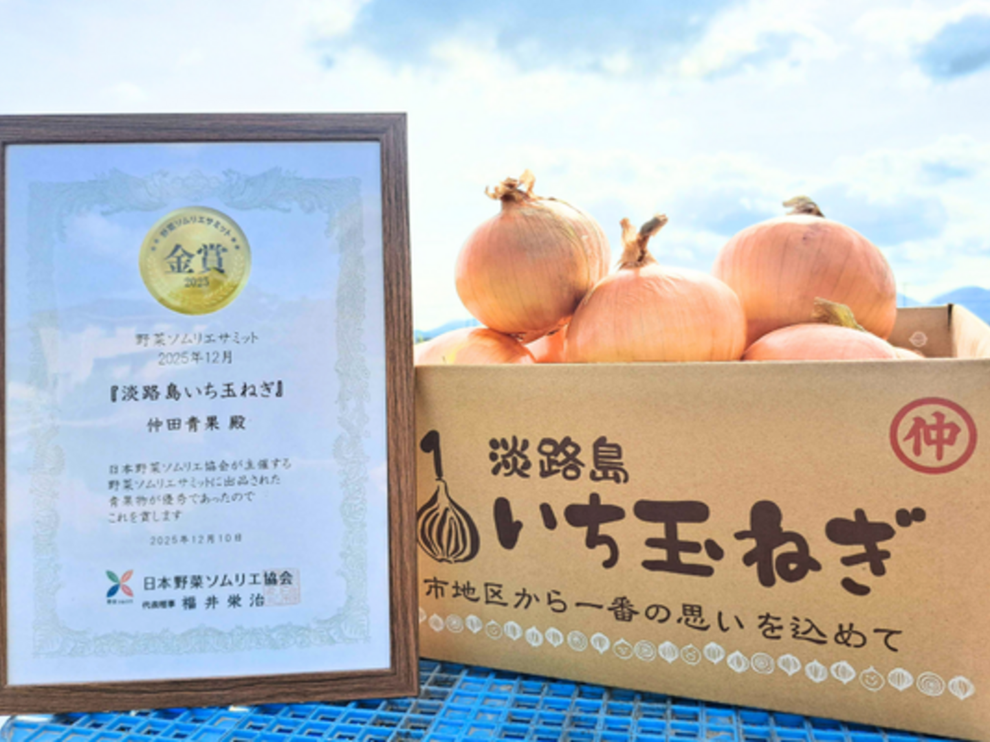 祝!3年連続金賞🏆】淡路島玉ねぎ20kg：兵庫県産のターザン｜食べチョク
