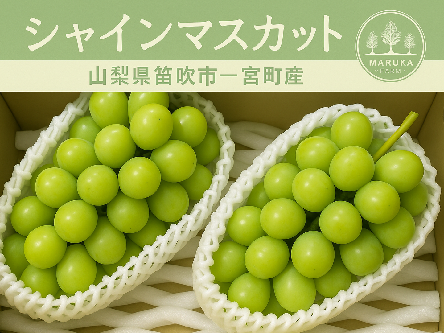 大粒シャインマスカット/上位等級の青秀品！/業務用/山梨県笛吹市産/5kg入 大粒シャインマスカット/上位等級の青秀品！/業務用/山梨県笛吹