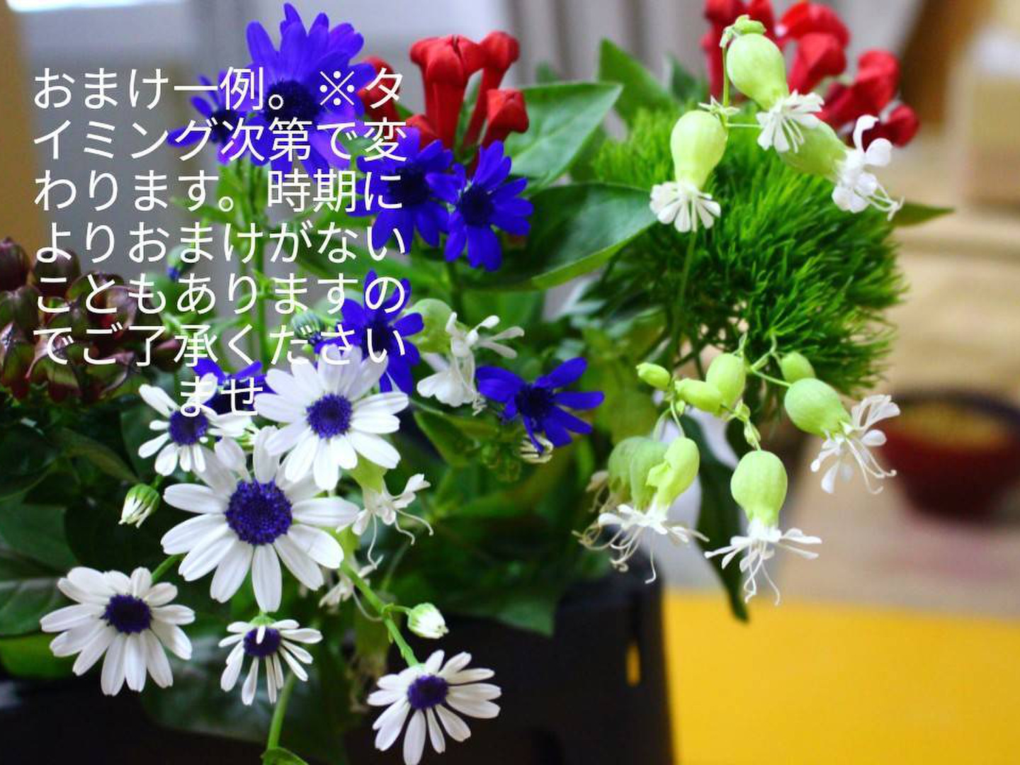 【今井アレクサンドル】特大サイズ　テディベア　花　高級紙アルシュ FRAY I.D】モデル八木アリサが魅せる冬の最新作を公開！WEB先行