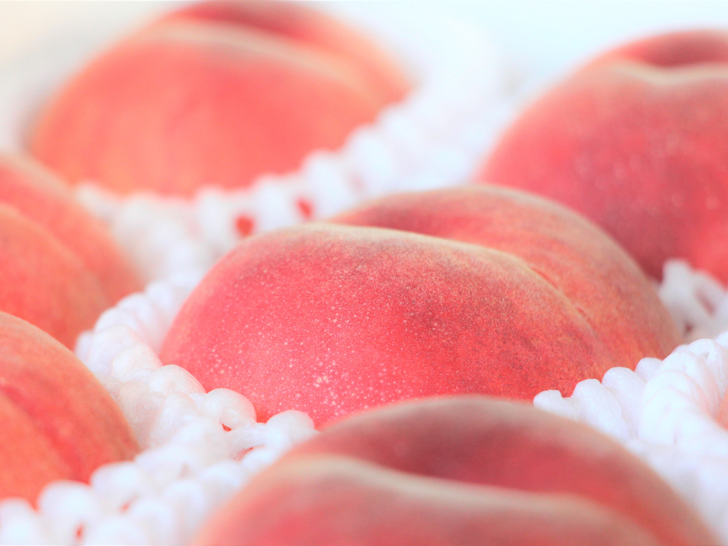 桃のかおり 587ef7a26a5f6c00eb5fa1ba20541e