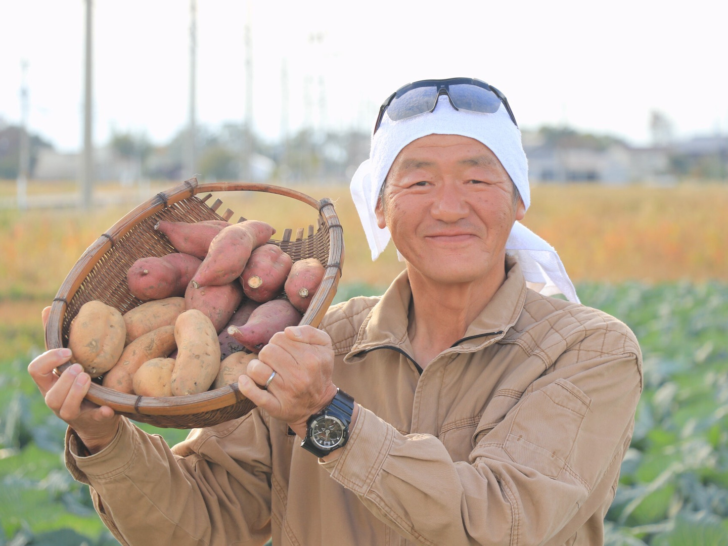 予約販売》《長期熟成200日蔵出しさつまいも》甘くて美味しい