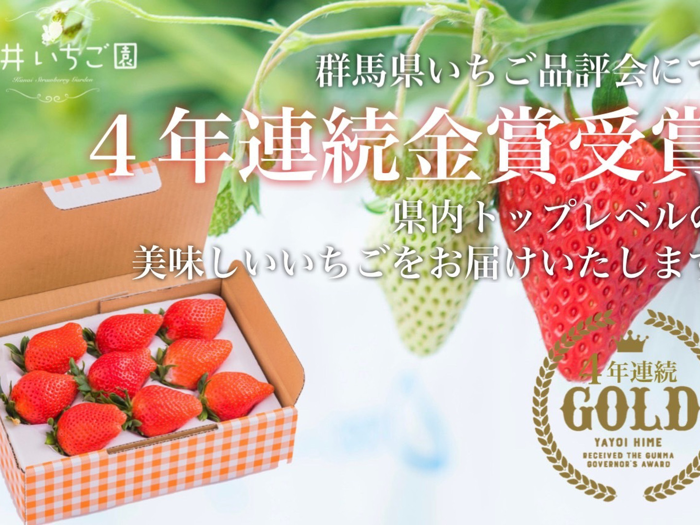 【大容量お得パック】群馬県いちご品評会入賞いちご4kg 6992b1497d21d768b9f5ba1a531d32