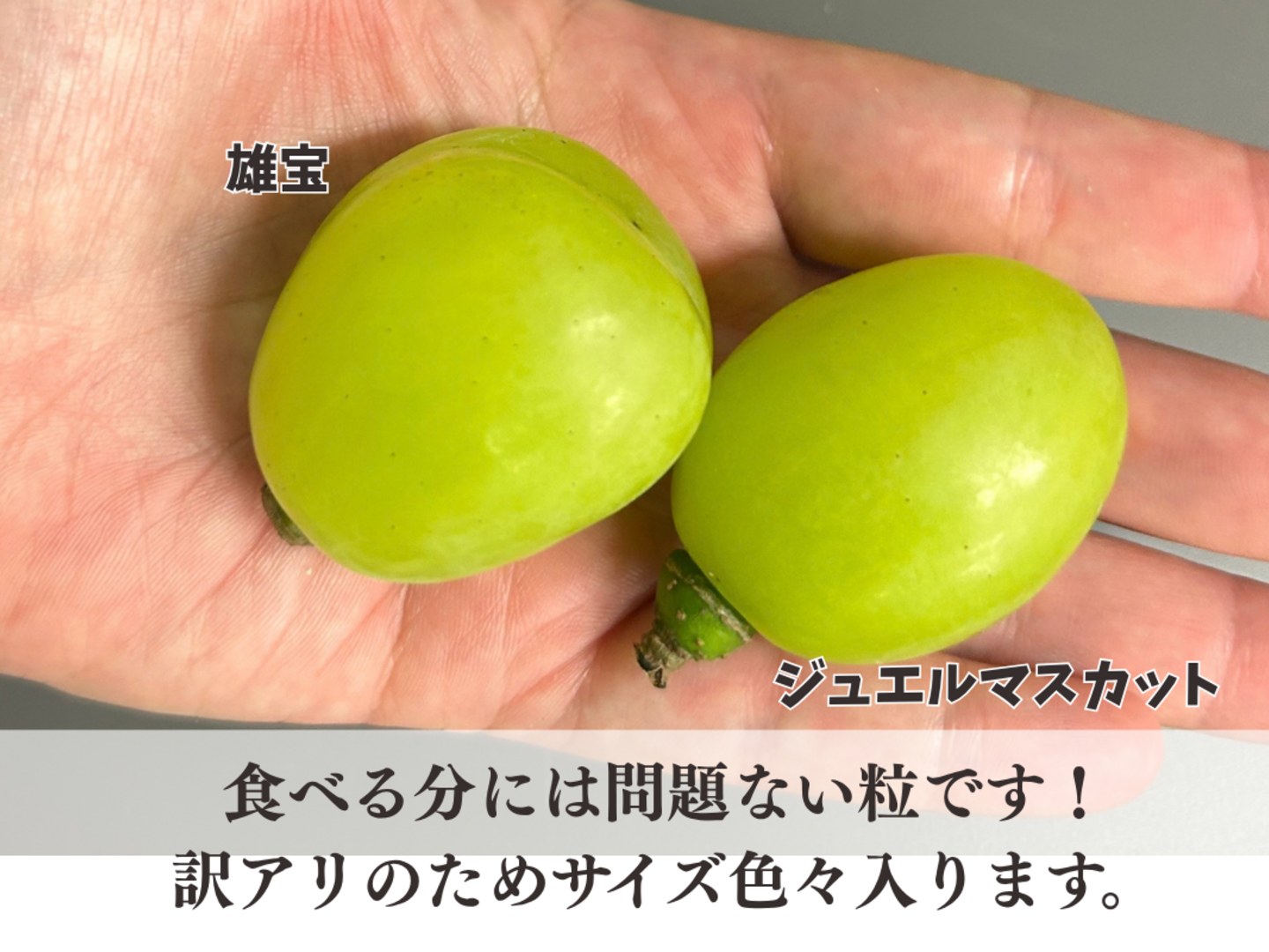 粒売り【雄宝&ジュエルマスカット】次世代シャインマスカット食べ比べ