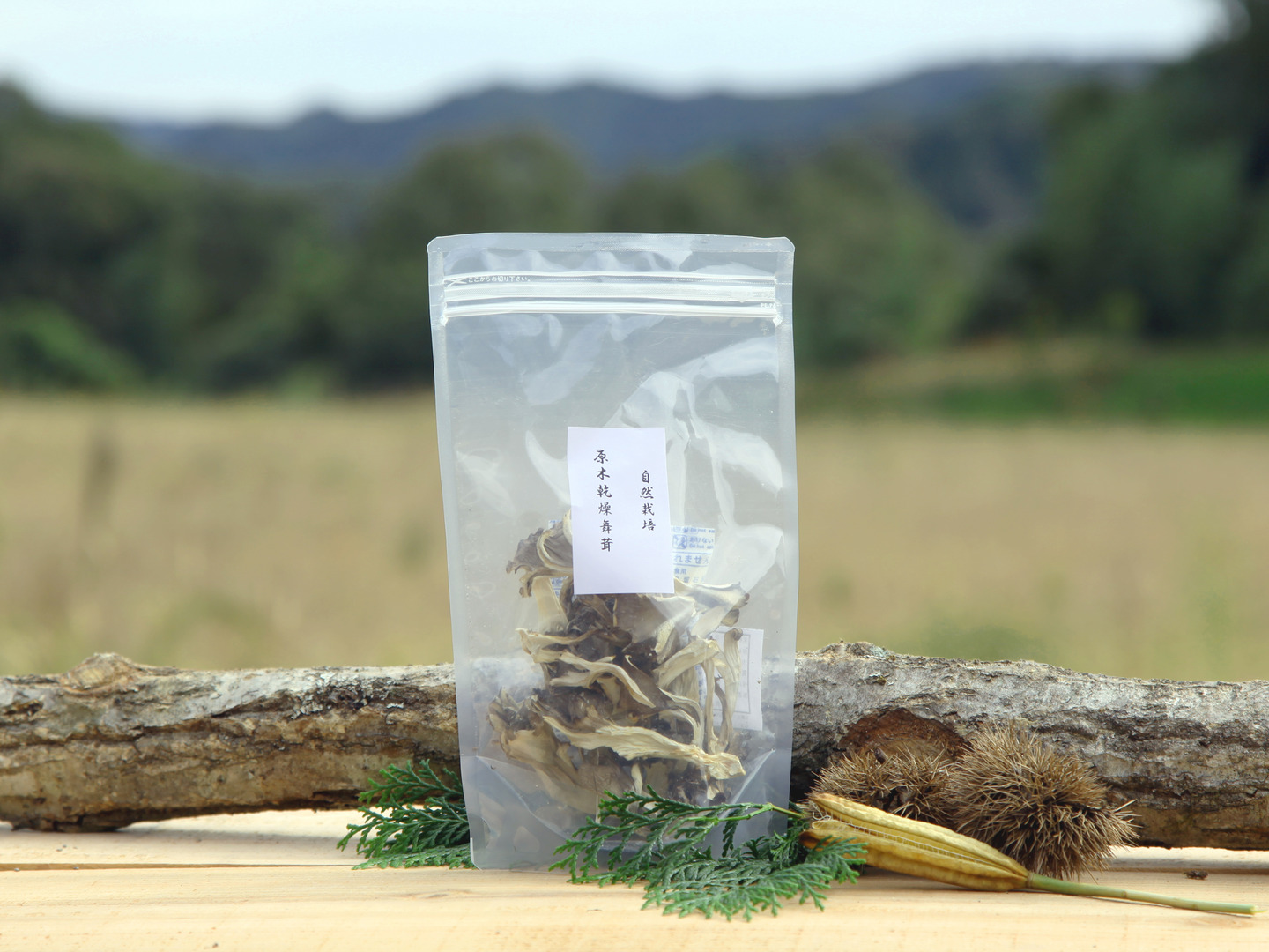 旨味』と『食感』が最高の『原木』栽培☆乾燥マイタケ100g（20g